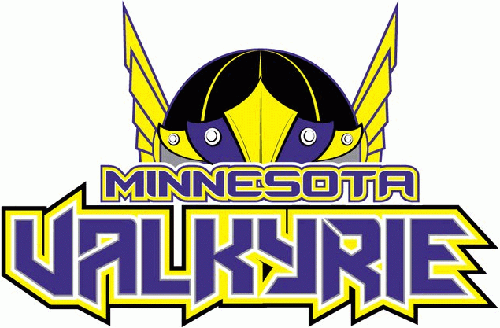 minnesota valkyrie 2010 11-pres primary logo iron on transfers for clothing